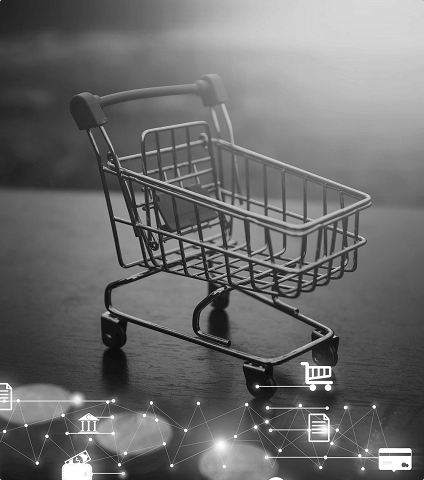 Ecommerce